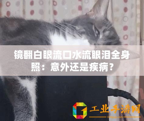 鏡翻白眼流口水流眼淚全身照：意外還是疾?。? title=