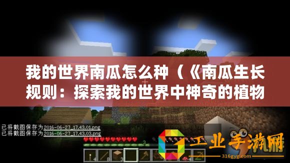 我的世界南瓜怎么種（《南瓜生長規則：探索我的世界中神奇的植物成長之謎》）