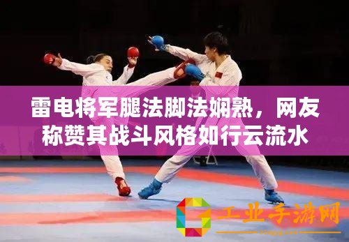雷電將軍腿法腳法嫻熟，網(wǎng)友稱贊其戰(zhàn)斗風(fēng)格如行云流水般靈動！