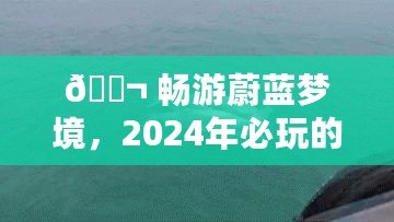 ?? 暢游蔚藍(lán)夢境，2024年必玩的海豚游戲合集，耐玩度爆表排行榜 ??