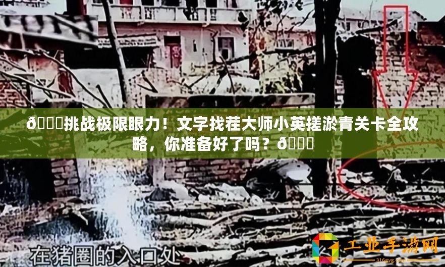 ??挑戰極限眼力！文字找茬大師小英搓淤青關卡全攻略，你準備好了嗎？??
