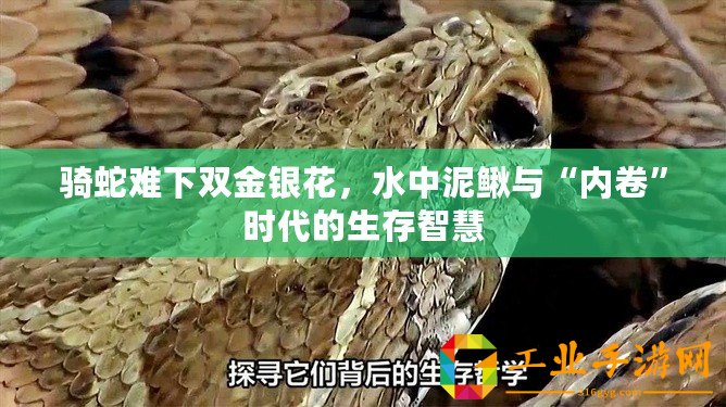 騎蛇難下雙金銀花，水中泥鰍與“內(nèi)卷”時代的生存智慧