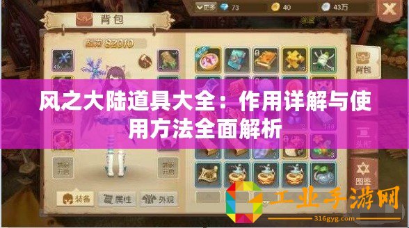 風(fēng)之大陸道具大全：作用詳解與使用方法全面解析