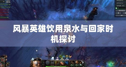 風(fēng)暴英雄飲用泉水與回家時(shí)機(jī)探討