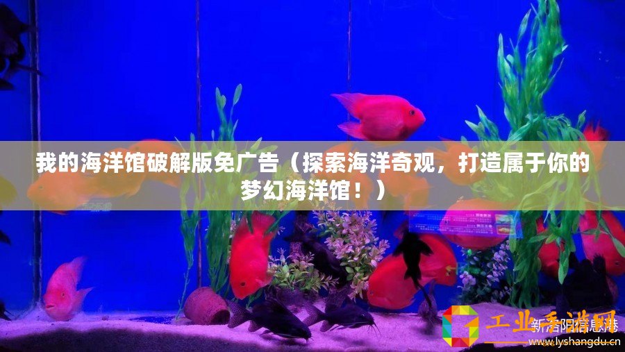 我的海洋館破解版免廣告（探索海洋奇觀，打造屬于你的夢(mèng)幻海洋館！）