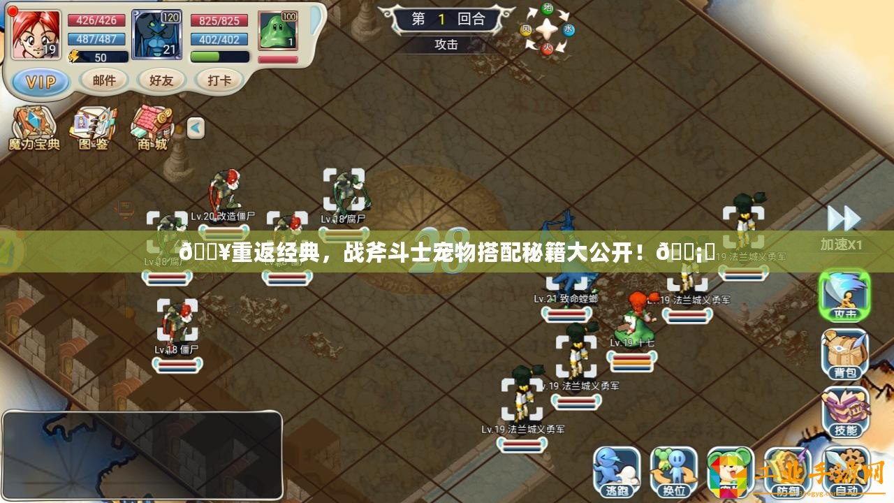 ??重返經(jīng)典，戰(zhàn)斧斗士寵物搭配秘籍大公開！???