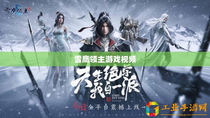 雪鷹領(lǐng)主游戲視頻