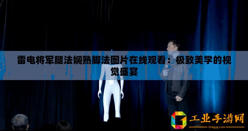 雷電將軍腿法嫻熟腳法圖片在線觀看：極致美學(xué)的視覺盛宴