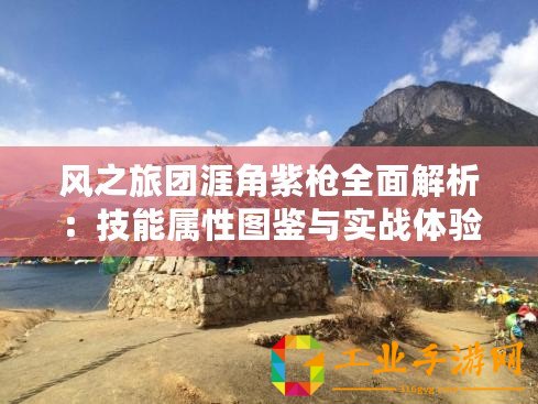 風(fēng)之旅團(tuán)涯角紫槍全面解析：技能屬性圖鑒與實(shí)戰(zhàn)體驗(yàn)之旅