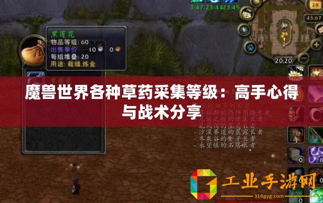 魔獸世界各種草藥采集等級：高手心得與戰(zhàn)術(shù)分享