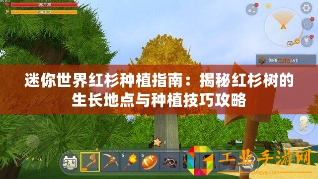 迷你世界紅杉種植指南：揭秘紅杉樹的生長(zhǎng)地點(diǎn)與種植技巧攻略