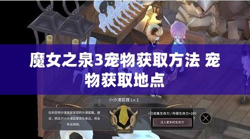 魔女之泉3寵物獲取方法 寵物獲取地點(diǎn)