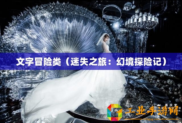 文字冒險類（迷失之旅：幻境探險記）