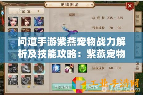 問(wèn)道手游紫燕寵物戰(zhàn)力解析及技能攻略：紫燕寵物技能介紹與實(shí)戰(zhàn)應(yīng)用指南