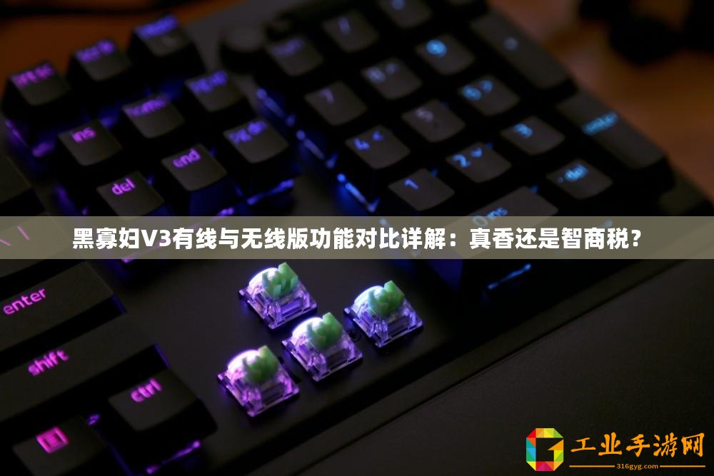 黑寡婦V3有線與無線版功能對比詳解：真香還是智商稅？