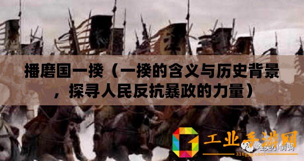播磨國(guó)一揆（一揆的含義與歷史背景，探尋人民反抗暴政的力量）